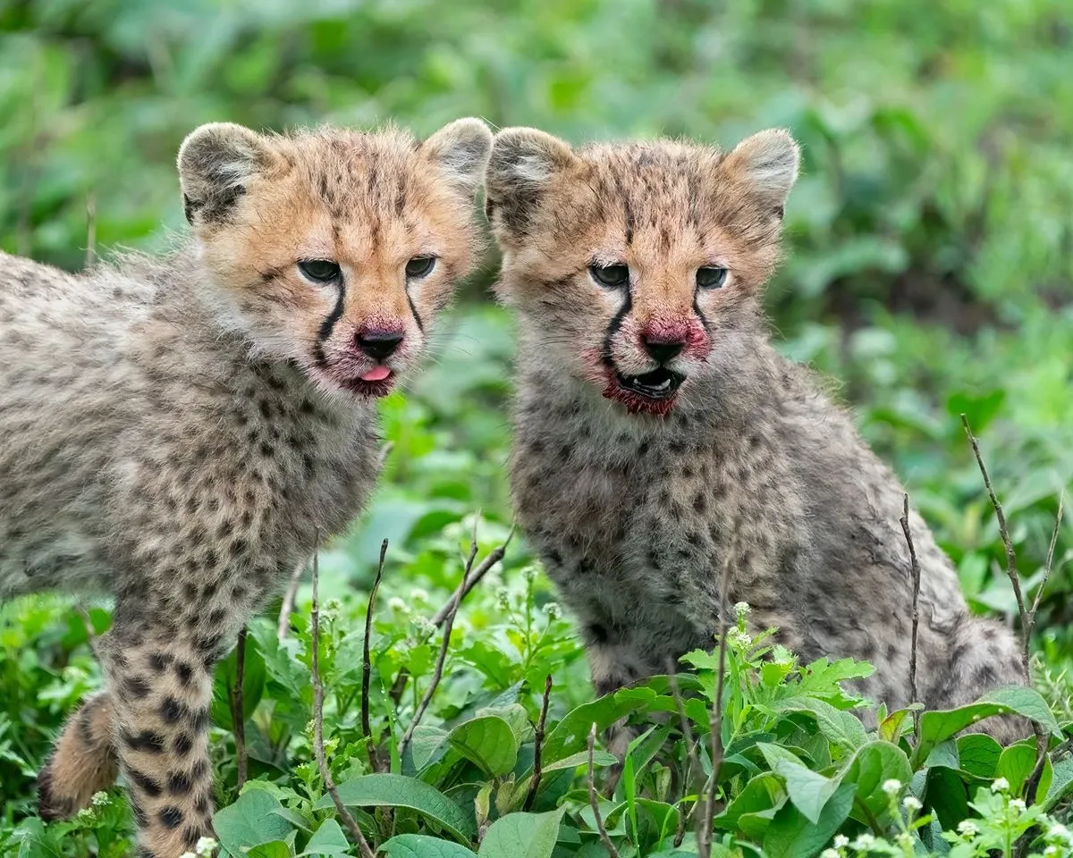 How much time for February safari and beach adventure